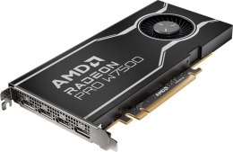 AMD AMD Radeon PRO W7500 8 GB GDDR6 100-300000078