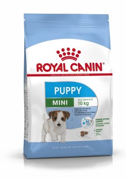 Karma Royal Canin SHN Mini Junior (2 kg )
