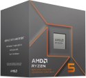 Ryzen 5 8600G