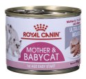 ROYAL CANIN FHN Babycat Instinctive Feline mus - mokra karma dla kociąt - puszka - 195 g