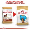 ROYAL CANIN BHN Dachshund Puppy - sucha karma dla szczeniąt - 1,5kg