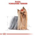 ROYAL CANIN BHN Yorkshire Terrier Adult - sucha karma dla psa - 3kg