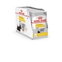 ROYAL CANIN CCN DERMACOMFORT LOAF mokra karma dla psa dorosłego - 12x85g