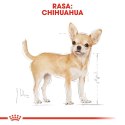 ROYAL CANIN Chihuahua - pakiet 12x85g