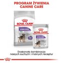 ROYAL CANIN CCN MINI STERILISED - sucha karma dla psa dorosłego - 8kg