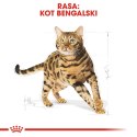 ROYAL CANIN Bengal Adult 2kg