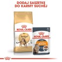 ROYAL CANIN Bengal Adult 2kg