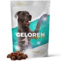 GELOREN Large Dog Suplement dla psa - 420g