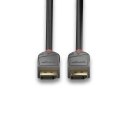 Lindy 36486 kabel DisplayPort 10 m Czarny