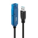 Lindy 43229 kabel USB USB 3.2 Gen 1 (3.1 Gen 1) 15 m USB A Czarny