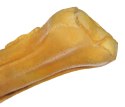 MACED Kość wędzona prasowana 16cm 1szt.